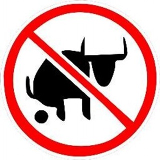 CASB, no bull