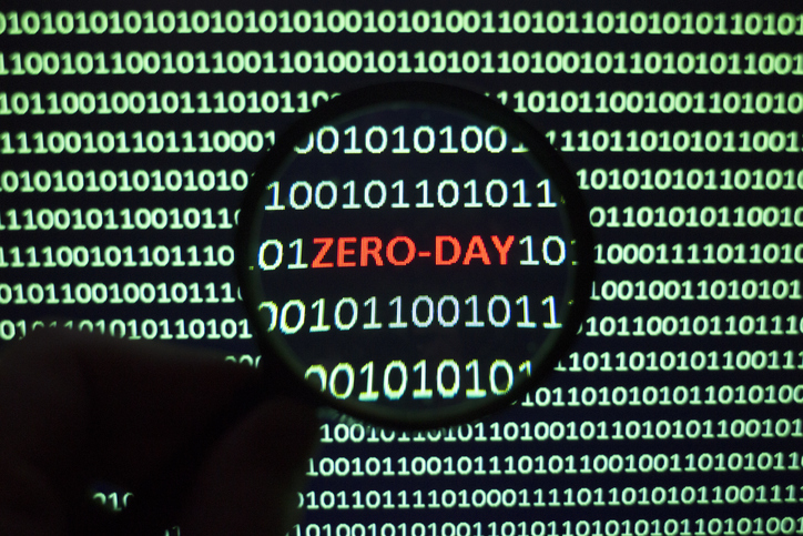 The Long Life of Zero Day and Its Implication