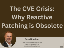 THE CVE CRISIS - DAVID LINDNER