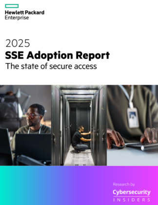 2025 SSE adoption report