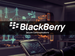 blackberry