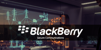 blackberry